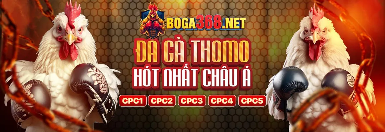 Đá gà trực tuyến kịch tính tại ft179