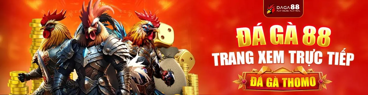 Giao diện đặt cược đá gà đa dạng tại ft179