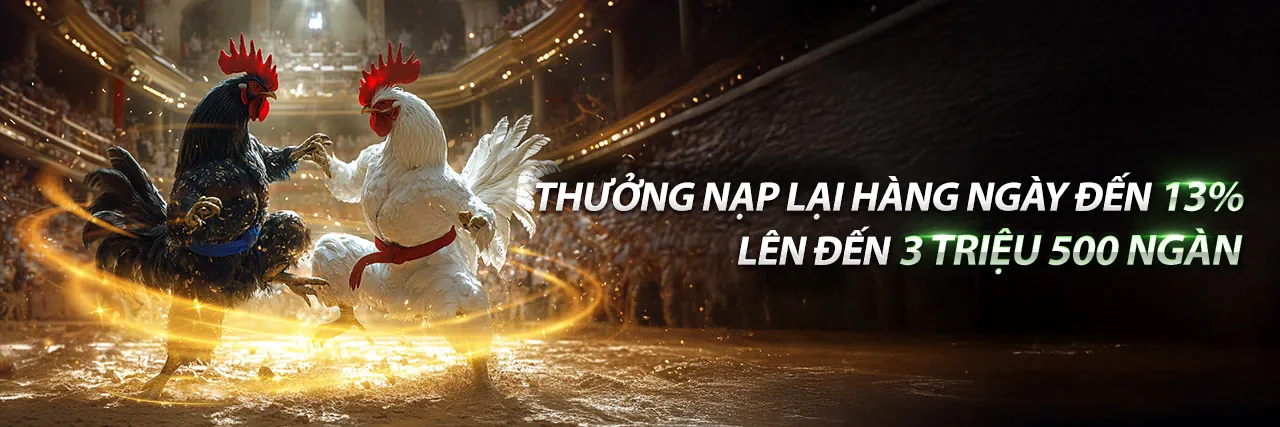 Hình ảnh tổng hợp các trò chơi cá cược đa dạng tại FT179.